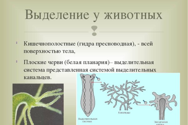 Kraken darknet market зеркало