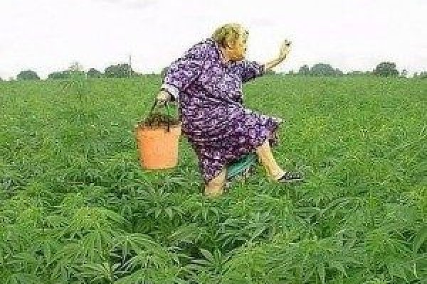 Сайт кракена актуальный