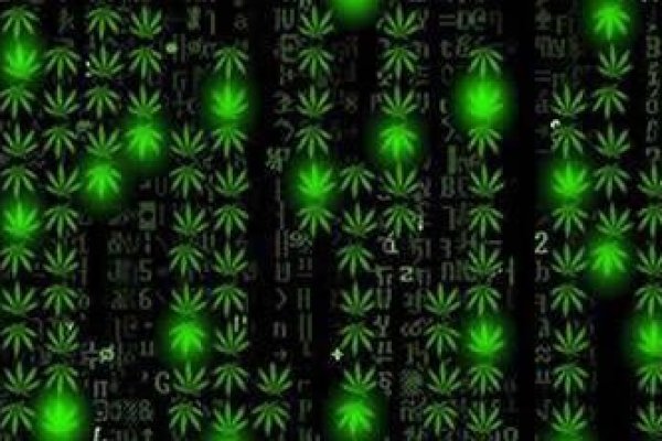 Что такое кракен сайт